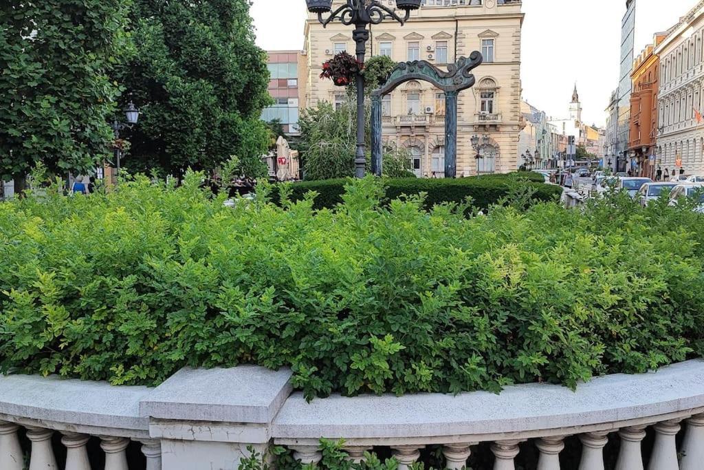 Filinhome Trg Mladenaca Novi Sad Eksteriør billede